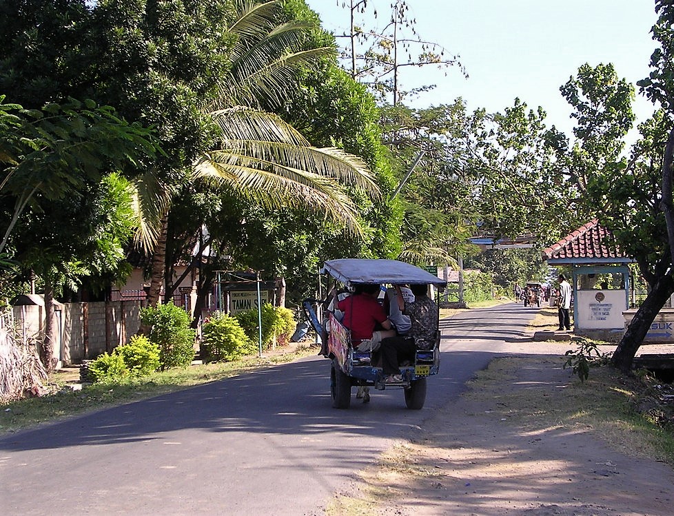 Transfer a Lombok su carretto trainato da un asino